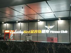 -金吉鸟健身游泳