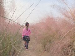 -艾溪湖湿地公园