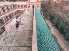-武汉大学-樱园