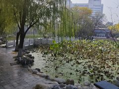 -莲湖公园
