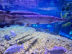 -成都浩海立方海洋公园