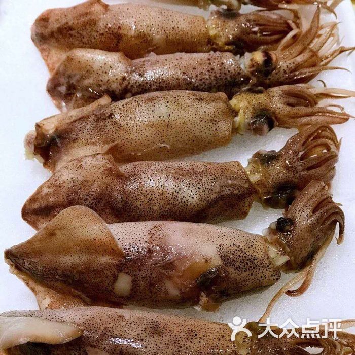 麟麟火锅鱿鱼仔图片-北京火锅-大众点评网