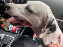 -云漫湖生态度假公园