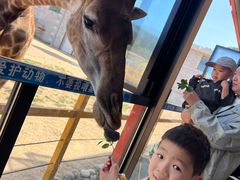 -西霞口神雕山野生动物世界