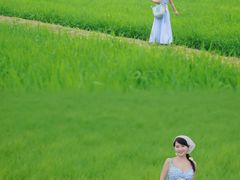 -光明小镇欢乐田园