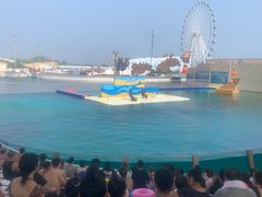 -秦皇岛乐岛海洋王国