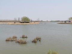 -西青郊野公园