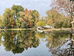 -上海共青森林公园