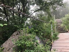 -灵山