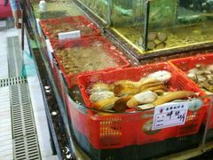 -东江港海鲜城(广雅花园别墅区店)