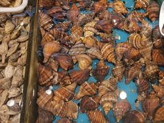 -添福来墨鱼饺子 · 海鲜东北菜(大连星海·黄浦路店)