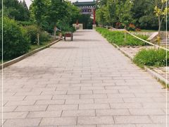 -云岗森林公园