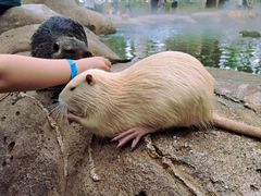 -北京野生动物园