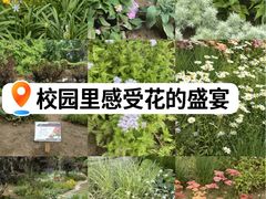 -北京市海淀外国语实验学校