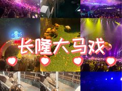 -广州长隆国际大马戏