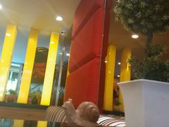 android_upload_pic-尊宝比萨(厦大店)