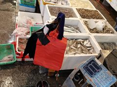 -华威西营里农产品批发市场