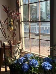 -WAVE SODA摄影工作室