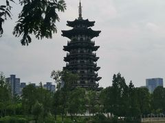 -洋湖国家湿地公园