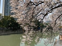 -红星桥(地铁站)