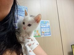 -半岛宠物医院24小时(科华中路店)