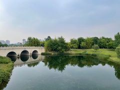 -眉山湿地公园(东坡区)