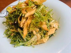 苦菊炝拌鲜油皮-船家渔(徐州北路店)