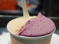 -Dip in Gelato(富民路店)