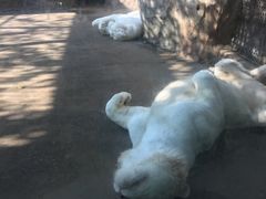 -南昌动物园