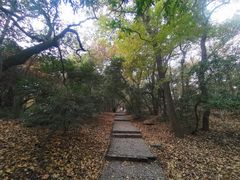 -虞山风景区