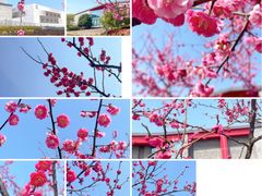 -上海宝龙美术馆