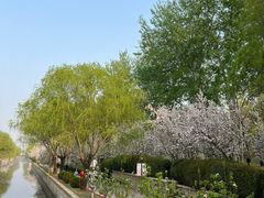 -元大都城垣遗址公园