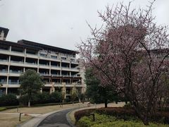 -光谷希尔顿酒店-厨意意大利餐厅(鸿雁路店)