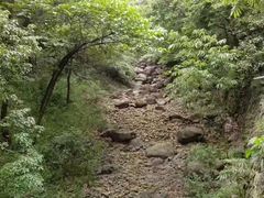 -白云源风景区