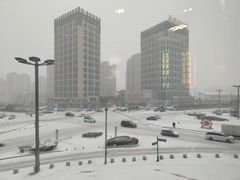 -楠火锅(哈尔滨金爵万象店)