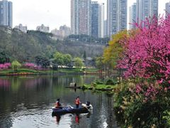 -重庆彩云湖湿地公园