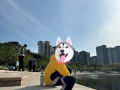 -新江湾城公园