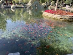 -水磨沟公园