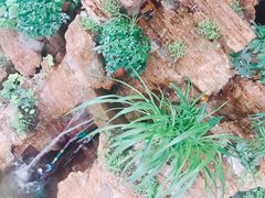 -汉唐守艺人·河北面馆(民心河店)