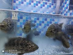 -蔚海之都·象山蒸汽海鲜(仙霞路店)