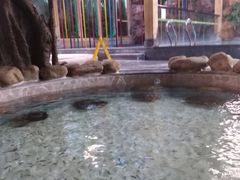 -御池园(顾村公园店)