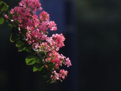 -杭州城北体育公园