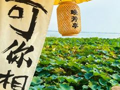 -七的湖·晚芳亭·阳澄湖农家菜·大闸蟹(莲花岛店)