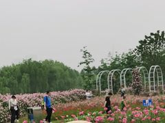 -尚贤河湿地