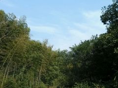 -黄公望隐居地