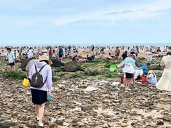 -巧克力渔家.小船海鲜胶东菜(万平口店)