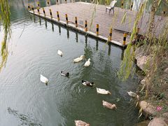 -J Create城市露营咖啡·简餐·宠物(上海动物园店)