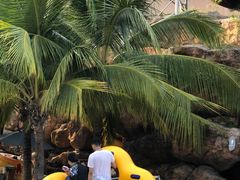 -亚马逊丛林水乐园