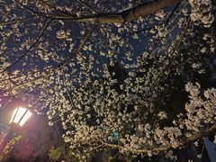 -鸡鸣寺