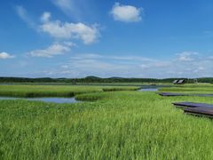 -塞罕坝国家级自然保护区